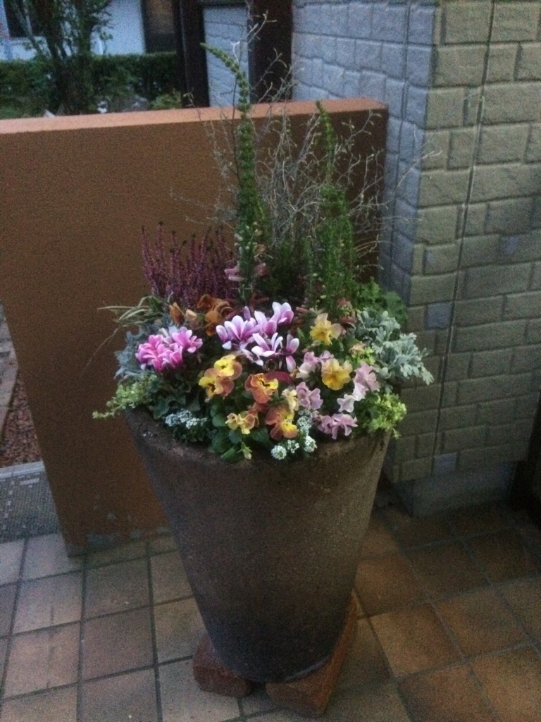 冬の寄せ植え – Draw:Garden 本店Staff Blog