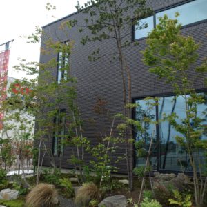 能登の高木を取り入れた雑木の庭