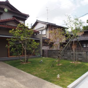 建物と調和された芝生の庭