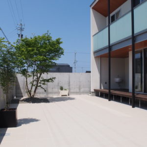 鉢植えのシンボルツリー