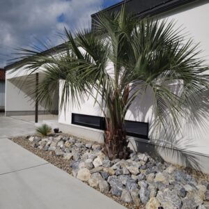 リゾート感あふれるドライガーデン