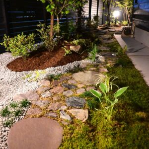 樹木+下草+化粧砂利ではじめる庭づくり