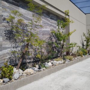 装飾壁を植栽で彩るご提案